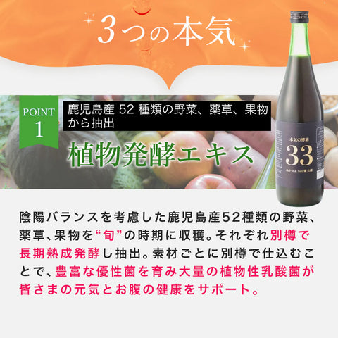 本気の酵素